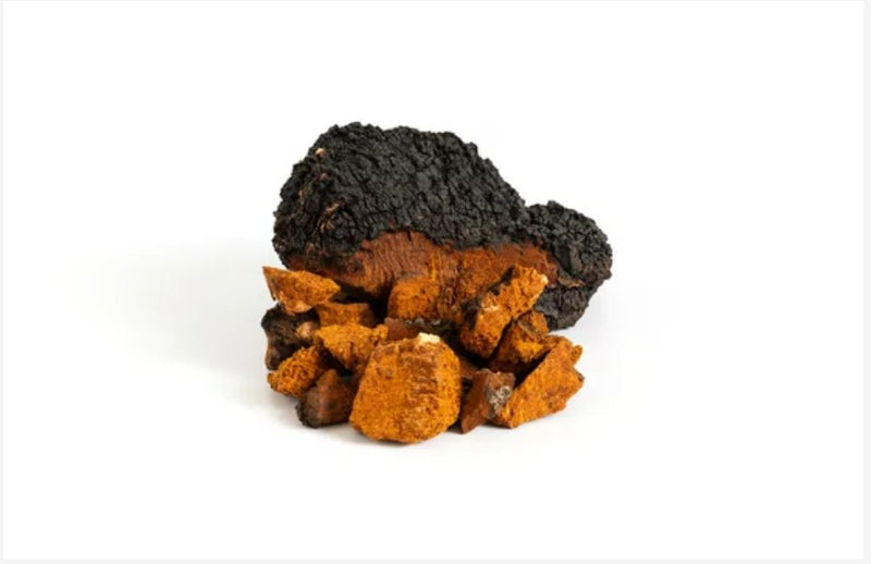 Unlocking the Power of Chaga Mushrooms for a Healthier You - Defiant Coffee
