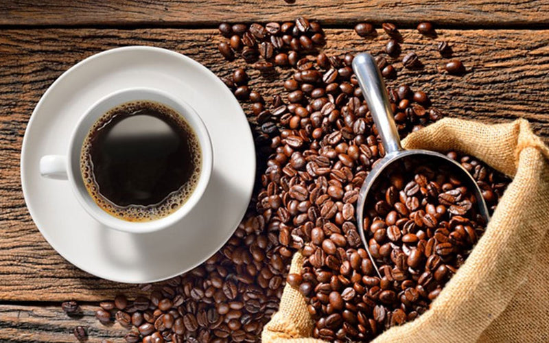 Is Mushroom Coffee Worth It? - Defiant Coffee